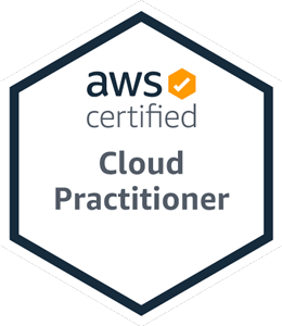 AWS-Certified-Machine-Learning-Specialty Real Brain Dumps