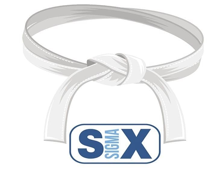 Six Sigma White Belt Training Course
